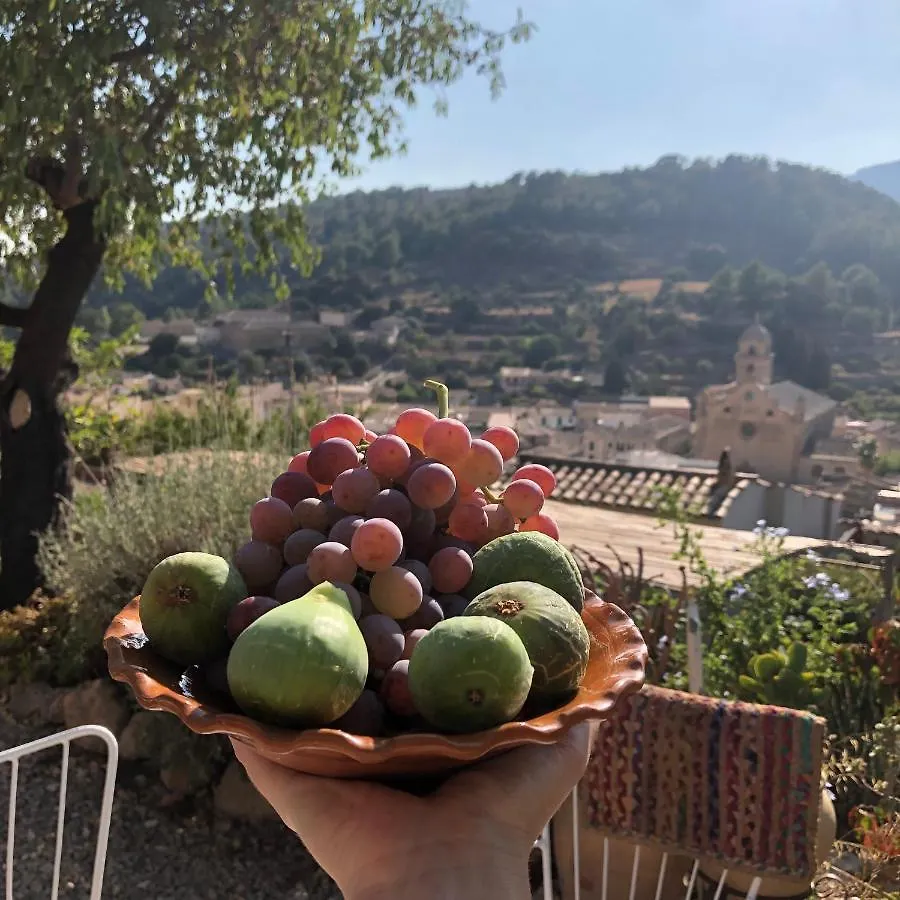 Sky Garden Mallorca - Ca'N Tomeu Villa Bunyola Holiday home